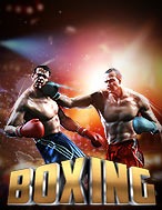 Boxing / Gameplay