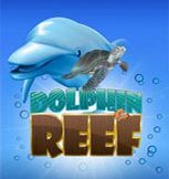 Dolphin Reef slot