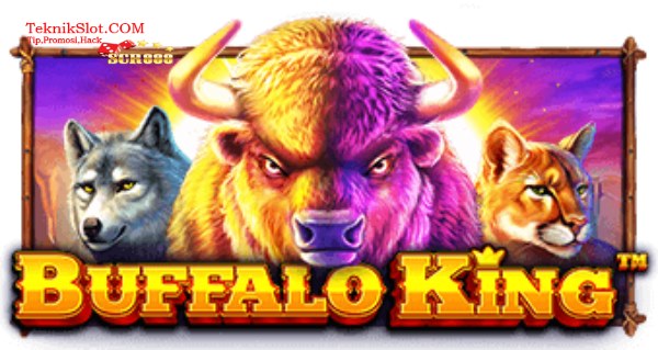 buffalo king